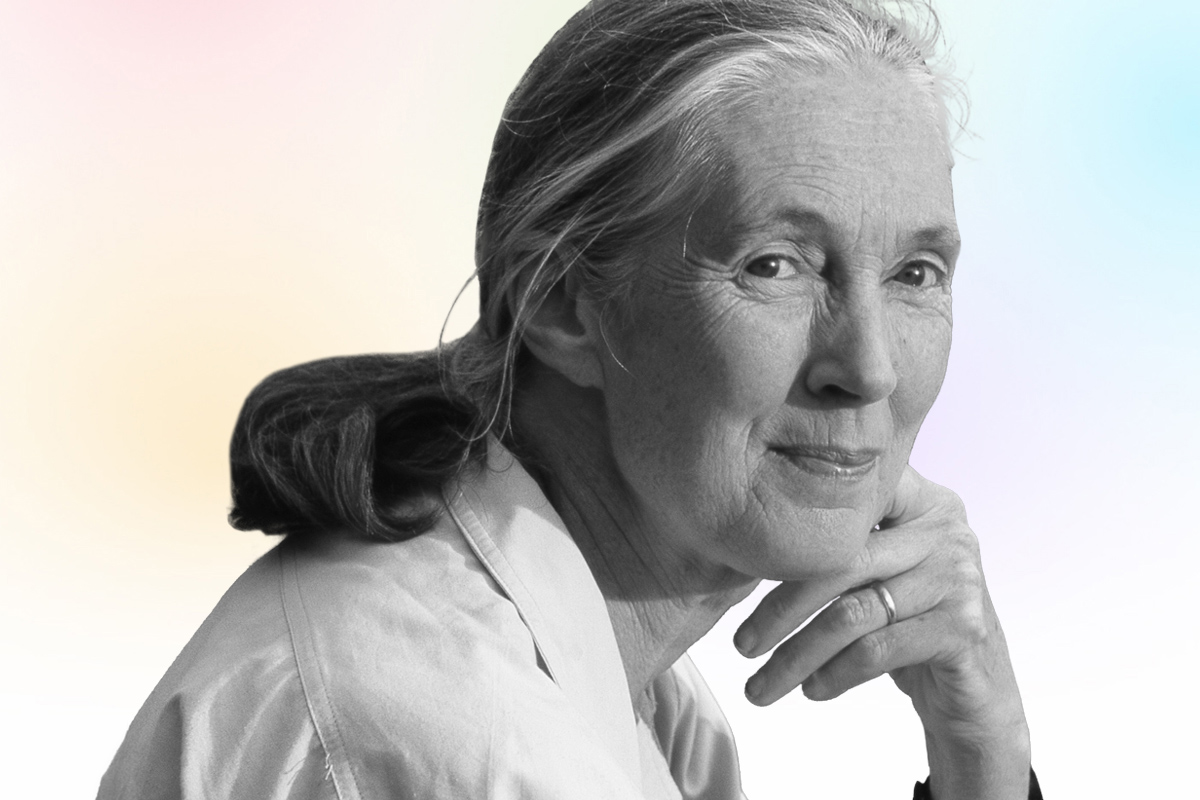 Jane Goodall