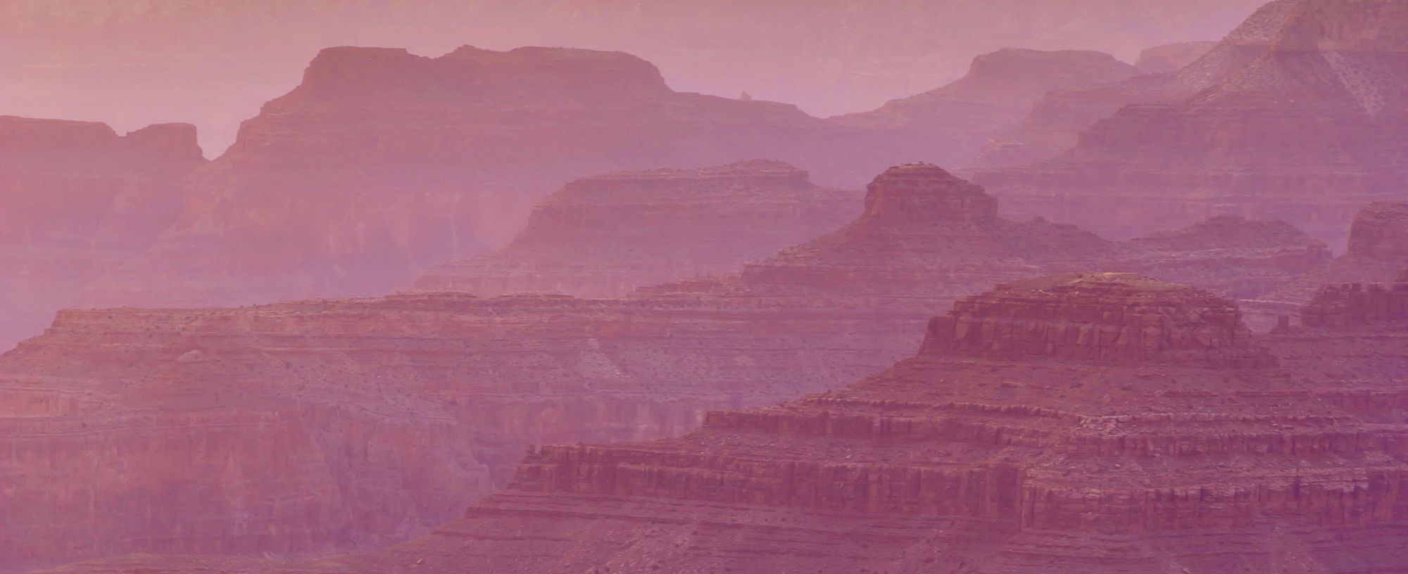 Quotes for Every Love Language, From Gifts to Time